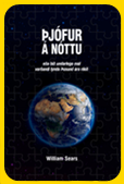 Þjófur á nóttu